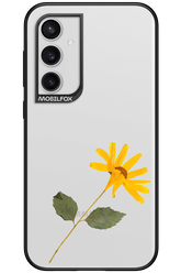 Pressed Flower - Samsung Galaxy S23 FE