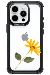 Pressed Flower - Apple iPhone 16 Pro