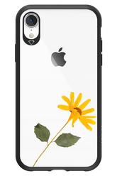 Pressed Flower - Apple iPhone XR