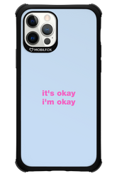 It_s Okay - Apple iPhone 12 Pro