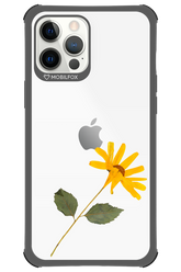 Pressed Flower - Apple iPhone 12 Pro Max