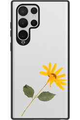 Pressed Flower - Samsung Galaxy S22 Ultra