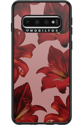 Amaryllis Mist - Samsung Galaxy S10