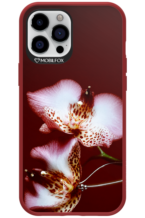 Leobloomy 2.0 - Apple iPhone 12 Pro Max