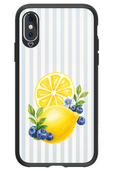 Fresh Flash 2.0 - Apple iPhone X