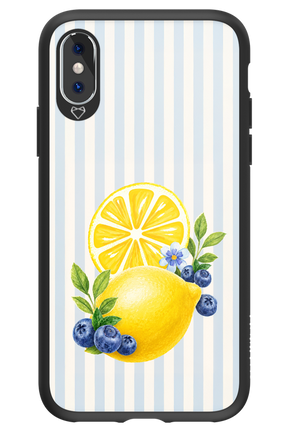Fresh Flash 2.0 - Apple iPhone X