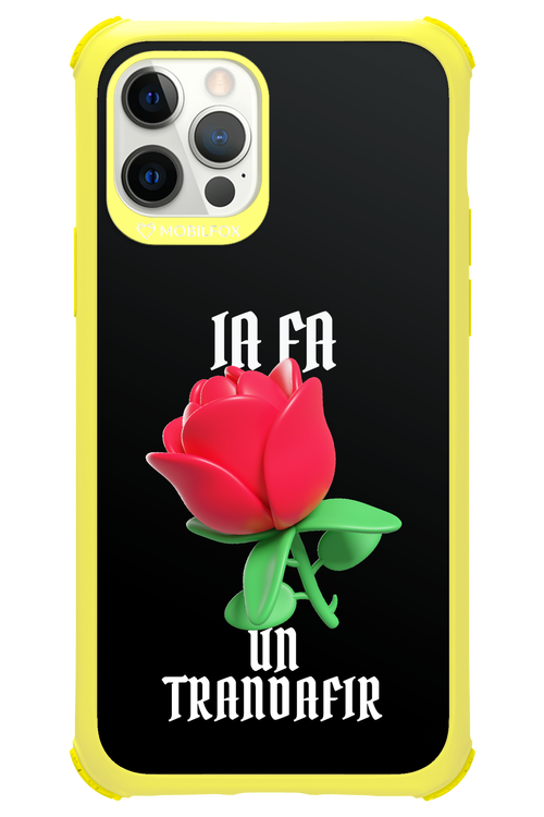 Rose Black - Apple iPhone 12 Pro