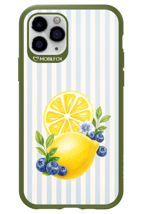 Fresh Flash 2.0 - Apple iPhone 11 Pro
