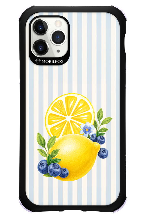 Fresh Flash 2.0 - Apple iPhone 11 Pro