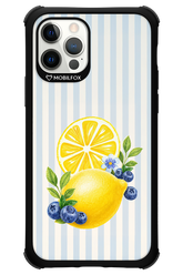 Fresh Flash 2.0 - Apple iPhone 12 Pro