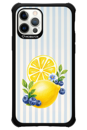 Fresh Flash 2.0 - Apple iPhone 12 Pro