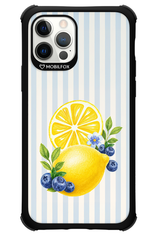 Fresh Flash 2.0 - Apple iPhone 12 Pro
