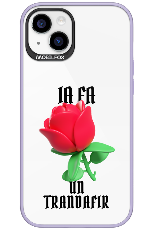 Rose Transparent - Apple iPhone 15 Plus