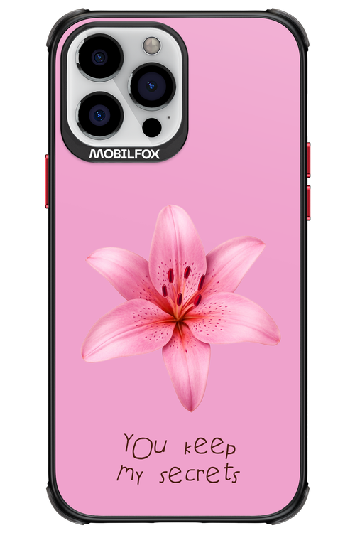 Secrets 2.0 - Apple iPhone 13 Pro Max