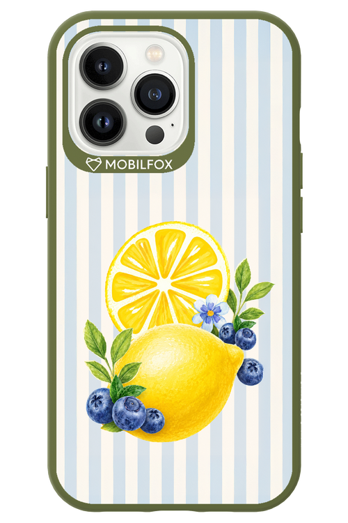 Fresh Flash 2.0 - Apple iPhone 13 Pro