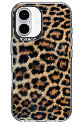 Leopard - Apple iPhone 16