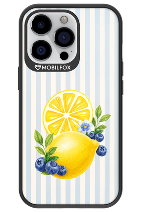 Fresh Flash 2.0 - Apple iPhone 13 Pro