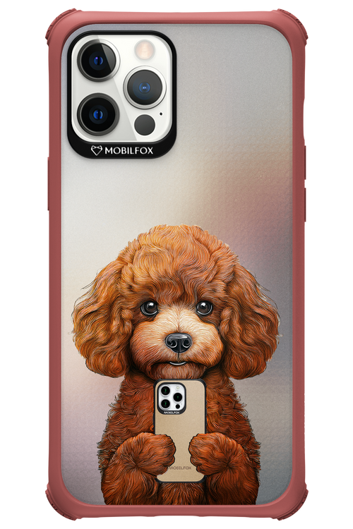 Dog x Fox 2.0 - Apple iPhone 12 Pro Max
