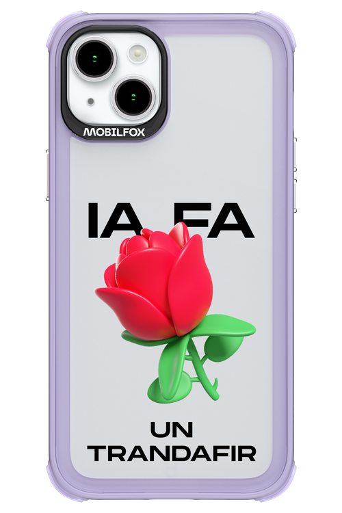 IA Rose Transparent - Apple iPhone 15 Plus