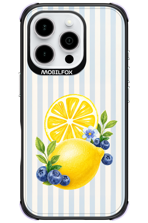 Fresh Flash 2.0 - Apple iPhone 16 Pro
