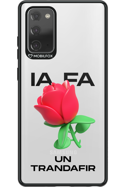 IA Rose Transparent - Samsung Galaxy Note 20