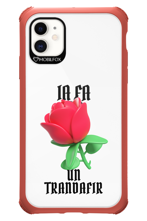 Rose Transparent - Apple iPhone 11