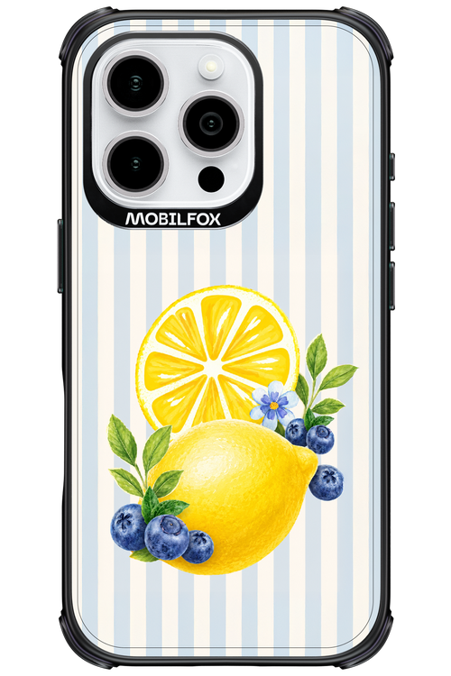 Fresh Flash 2.0 - Apple iPhone 16 Pro
