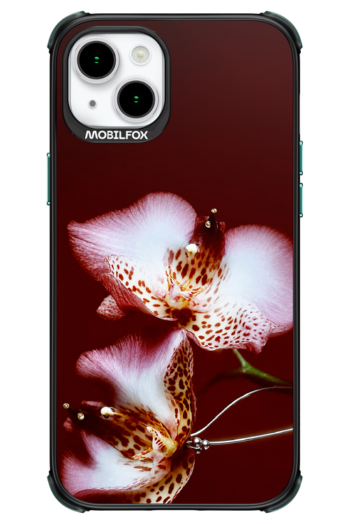 Leobloomy 2.0 - Apple iPhone 15 Plus