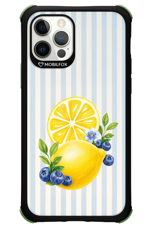 Fresh Flash 2.0 - Apple iPhone 12 Pro