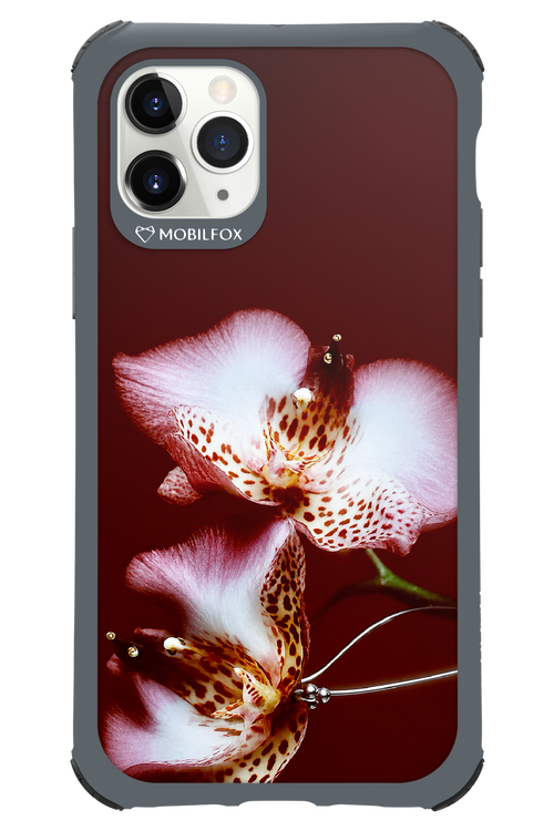 Leobloomy 2.0 - Apple iPhone 11 Pro