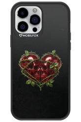 Omen Kiss 2.0 - Apple iPhone 13 Pro Max
