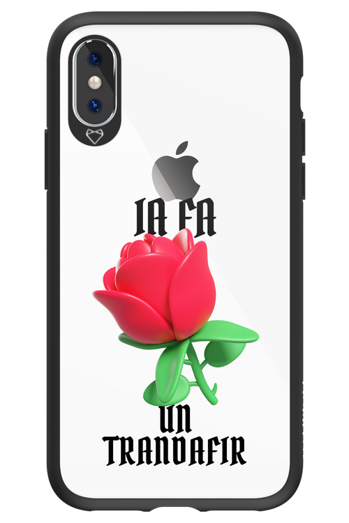 Rose Transparent - Apple iPhone XS