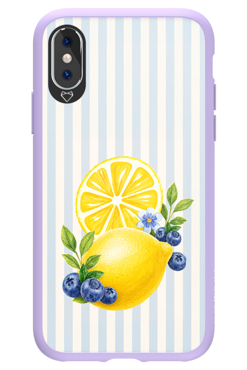 Fresh Flash 2.0 - Apple iPhone XS