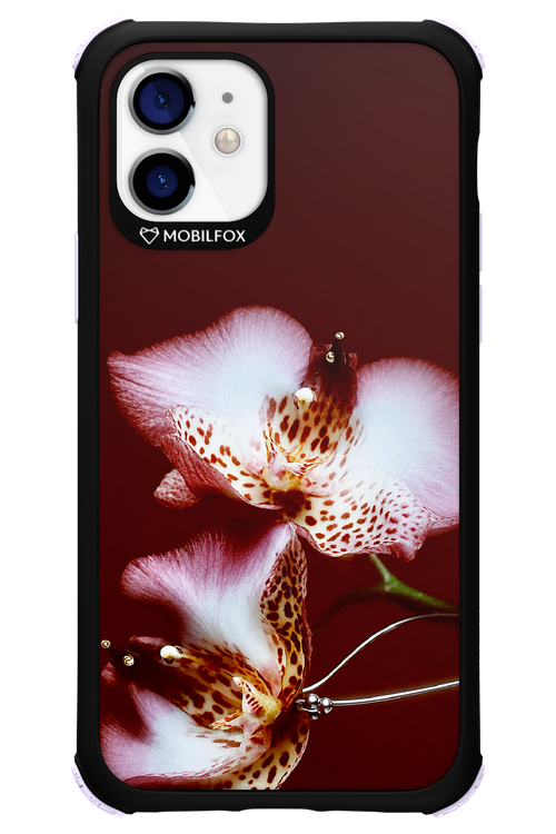 Leobloomy 2.0 - Apple iPhone 12
