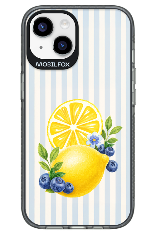 Fresh Flash 2.0 - Apple iPhone 14