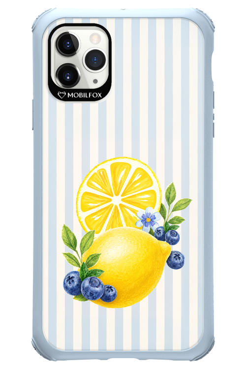 Fresh Flash 2.0 - Apple iPhone 11 Pro Max