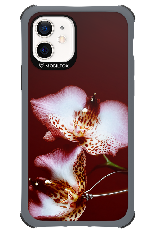 Leobloomy 2.0 - Apple iPhone 12