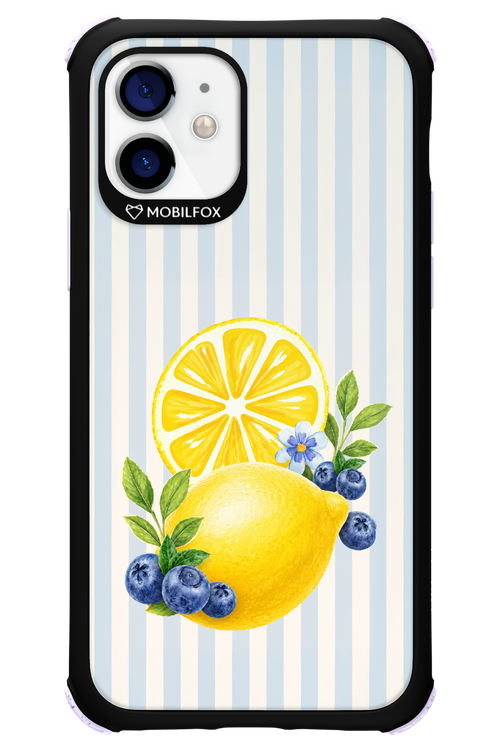 Fresh Flash 2.0 - Apple iPhone 12