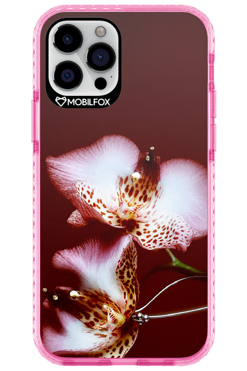 Leobloomy 2.0 - Apple iPhone 12 Pro