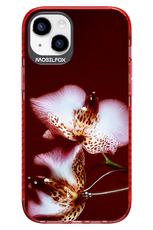Leobloomy 2.0 - Apple iPhone 14 Plus