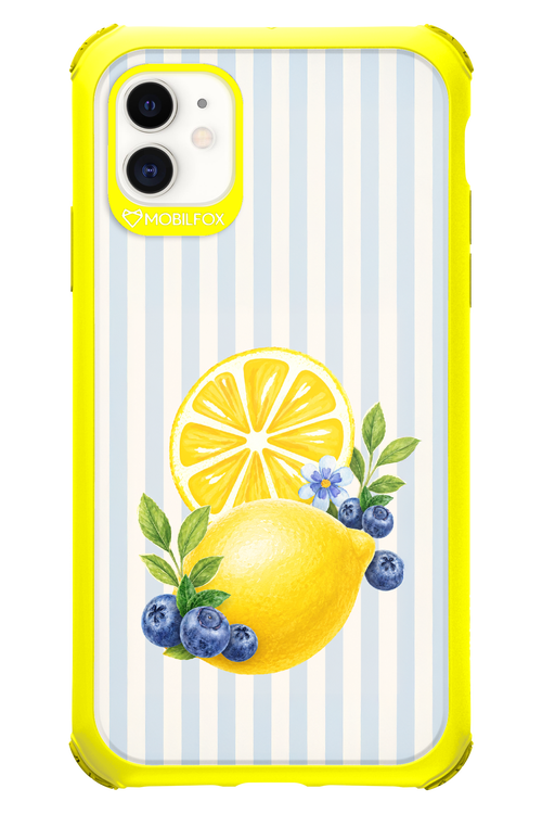 Fresh Flash 2.0 - Apple iPhone 11