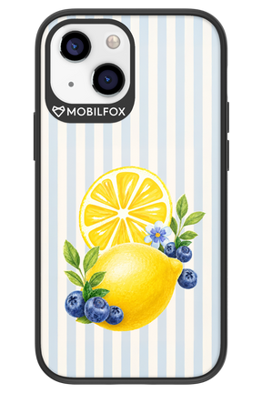 Fresh Flash 2.0 - Apple iPhone 13 Mini
