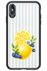 Fresh Flash 2.0 - Apple iPhone XS Max