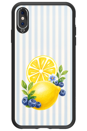 Fresh Flash 2.0 - Apple iPhone XS Max