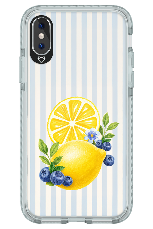 Fresh Flash 2.0 - Apple iPhone XS