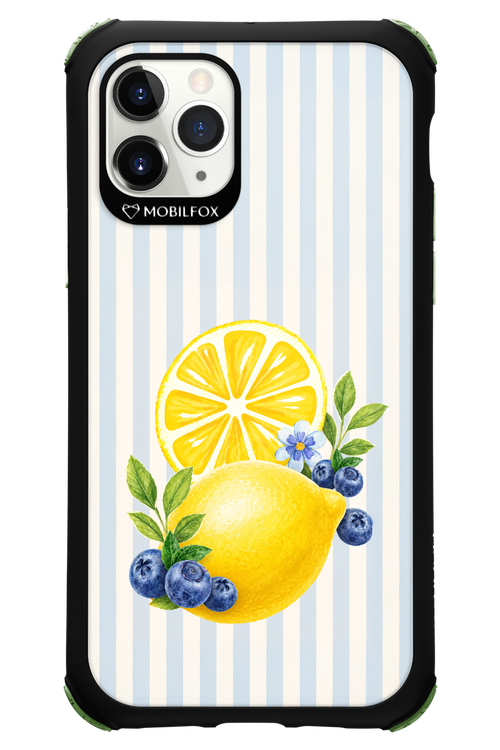 Fresh Flash 2.0 - Apple iPhone 11 Pro