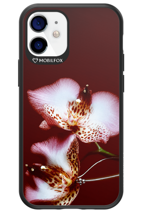 Leobloomy 2.0 - Apple iPhone 12 Mini