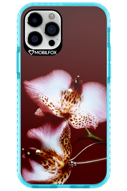 Leobloomy 2.0 - Apple iPhone 12 Pro