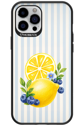 Fresh Flash 2.0 - Apple iPhone 12 Pro Max
