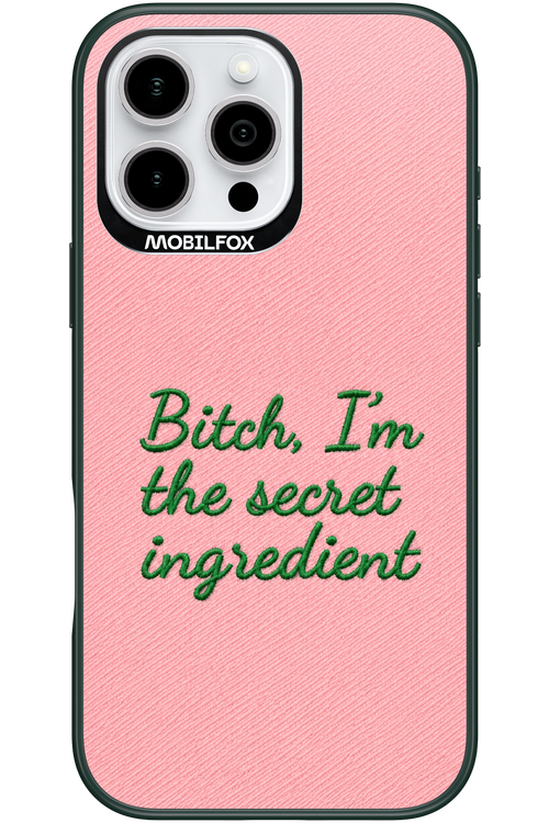 The Secret 2.0 - Apple iPhone 16 Pro Max